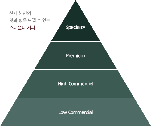 스페셜티 커피